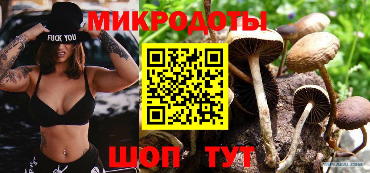 Галлюциногенные грибы Psilocybe  Вход с VPN  Лабинск 